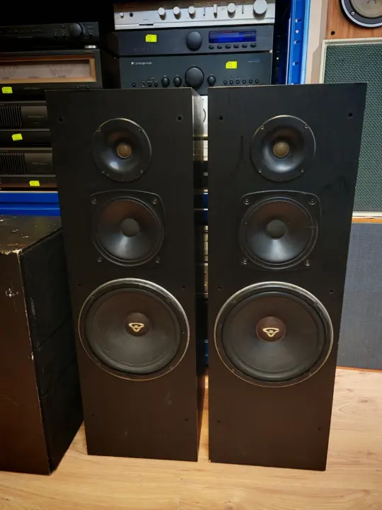 CERWIN WEGA DC 10