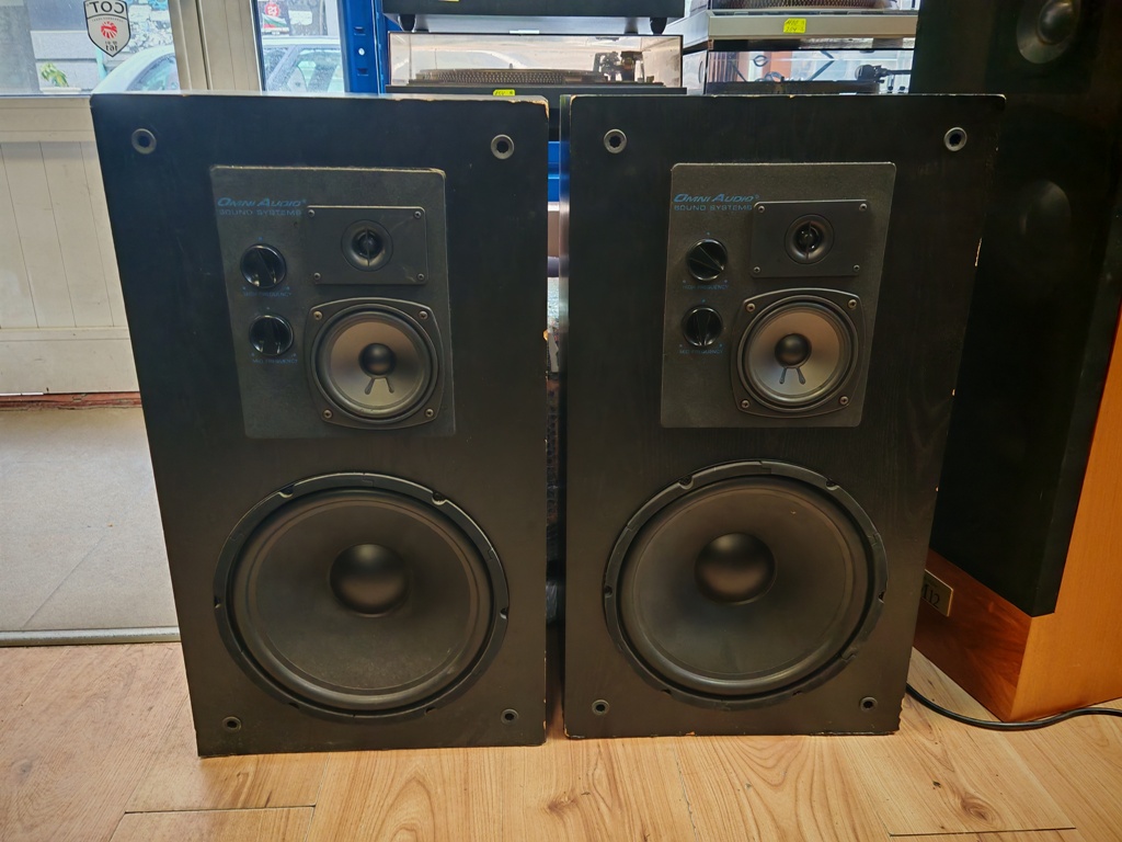 OMNI AUDIO 12.3