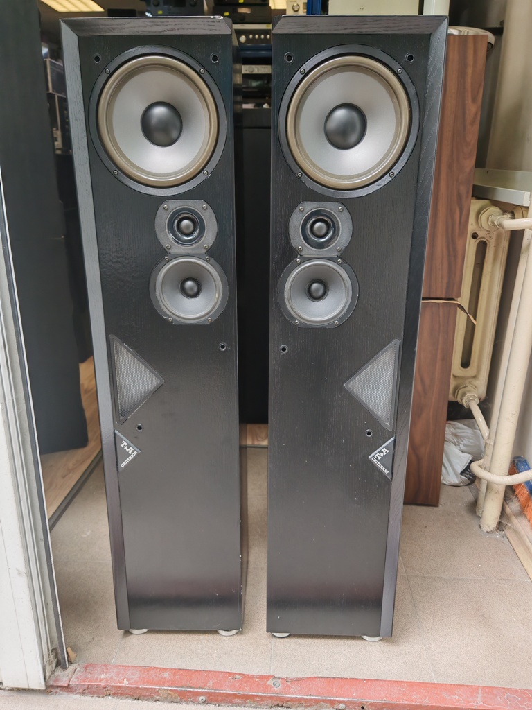 T+A Criterion T 100
